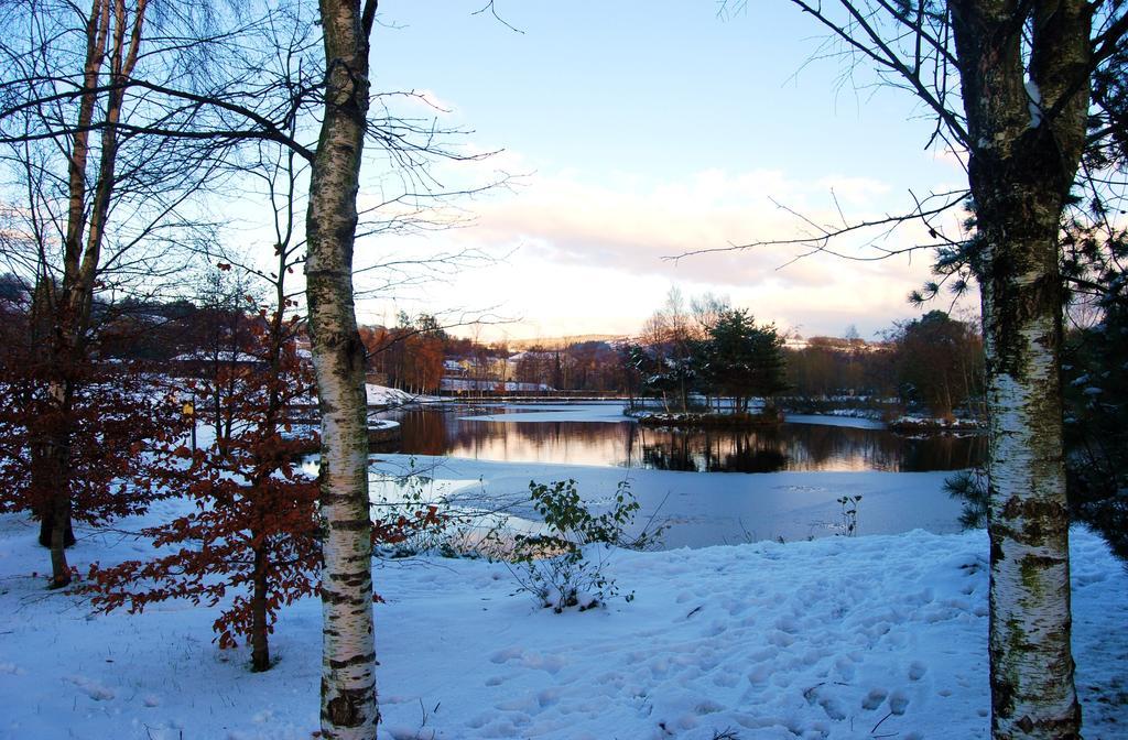 27 Aughrim Holidaysヴィラ エクステリア 写真