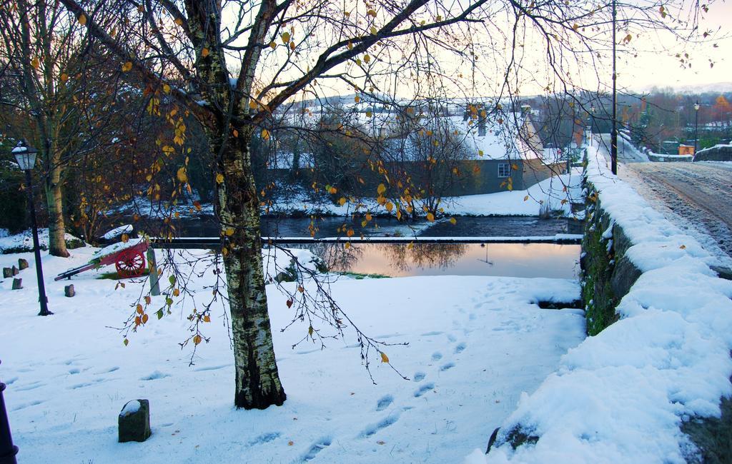 27 Aughrim Holidaysヴィラ エクステリア 写真